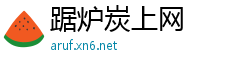 踞炉炭上网